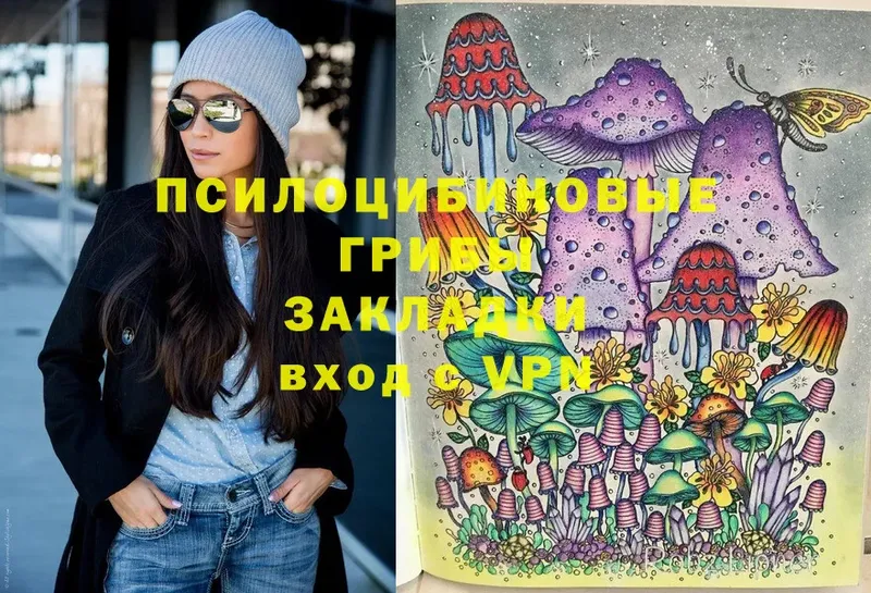 MEGA tor  Богородск  Псилоцибиновые грибы Cubensis 